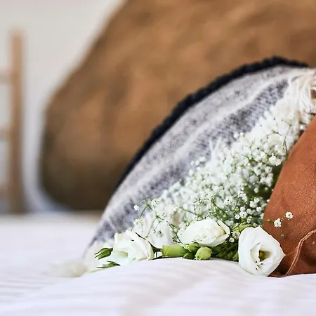 Teal Rock Mykonos Tatil Evi