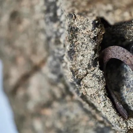 Teal Rock Mykonos * אנו מרה